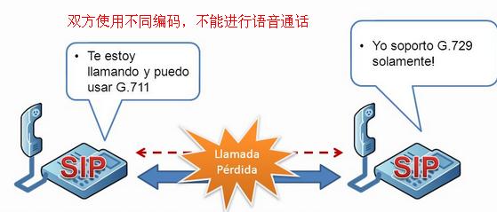 不同编码不同语音通话