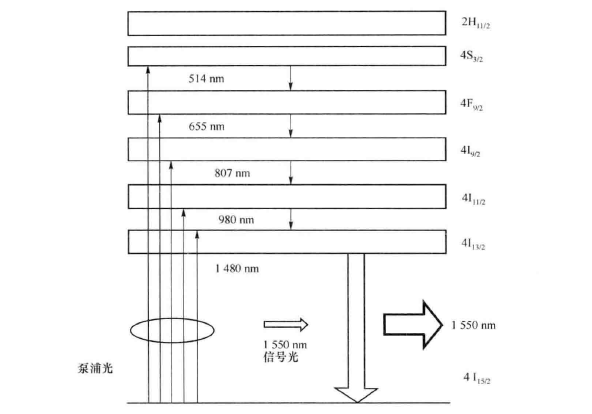 能级分布、泵浦光、信号光的关系